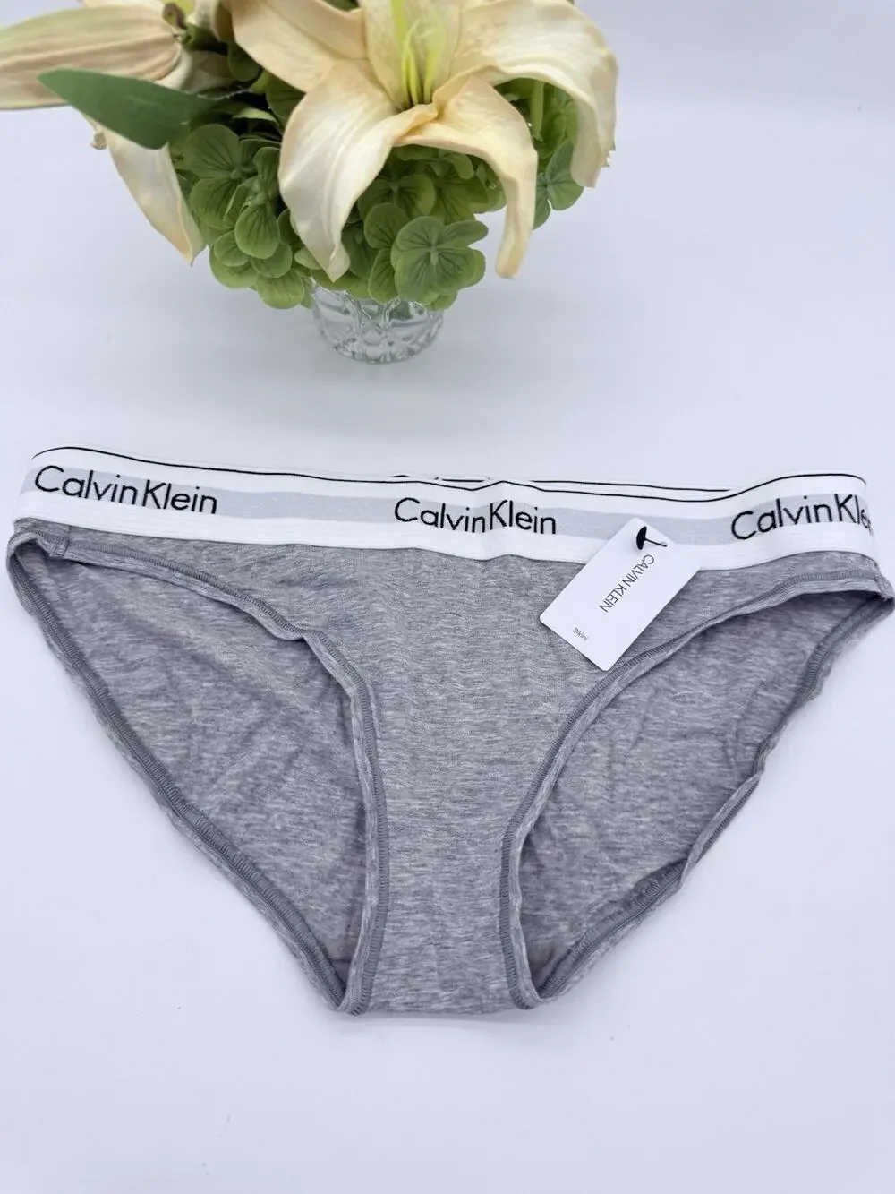 Calvin Klein Women's Modern Cotton Bikini f3787 M